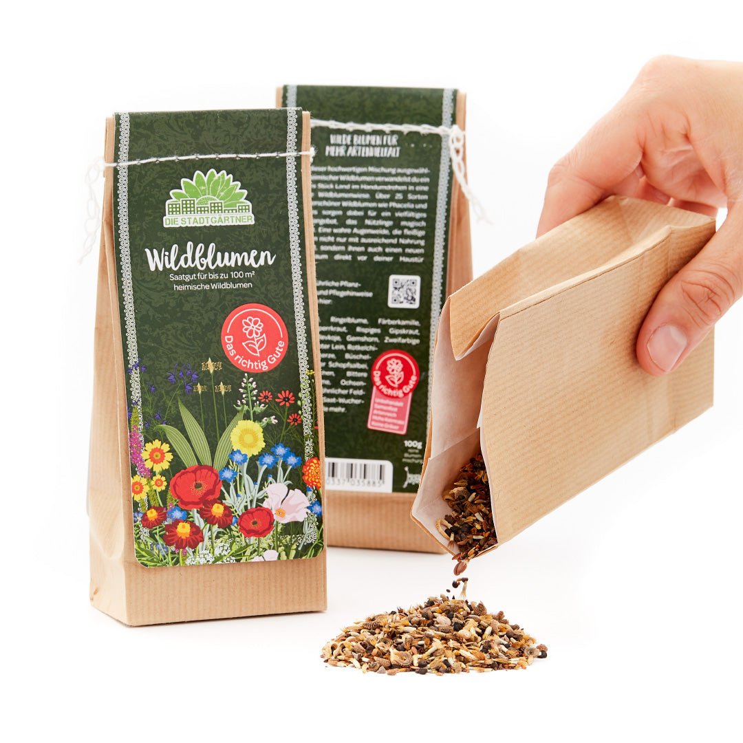 100 g Wildblumen-Saatgut - Wurzelwerk Design