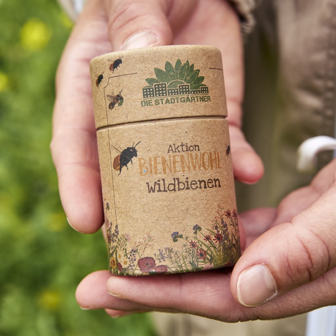 30 m² Wildbienenwiese – Saatgut-Mix - Wurzelwerk Design