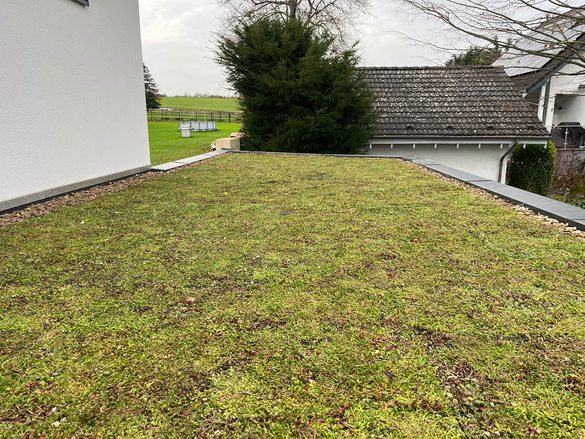 Dachbegrünung Flachdach – Plantile® Extensivsystem