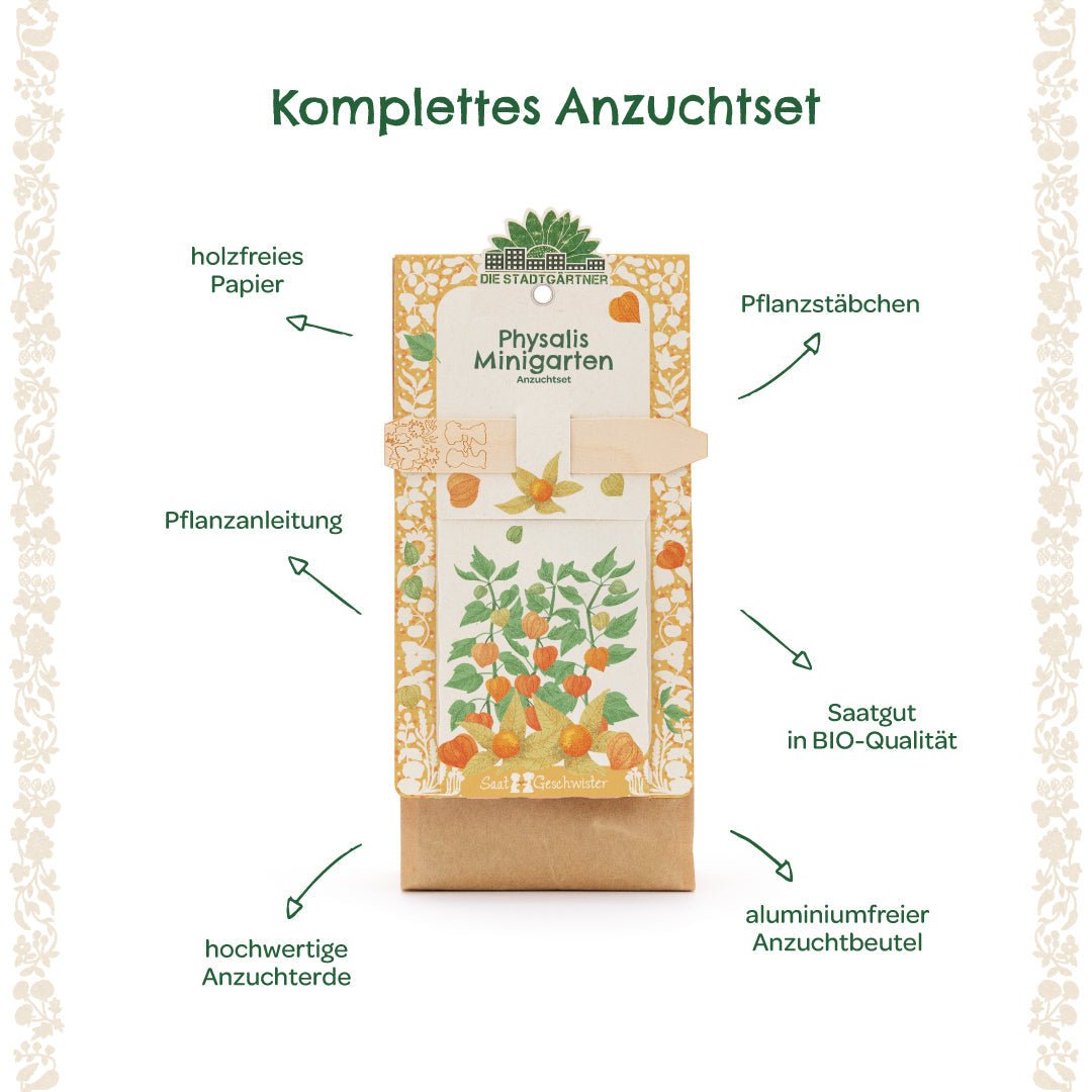 Anzuchtset – Minigarten BIO-Physalis - Wurzelwerk Design