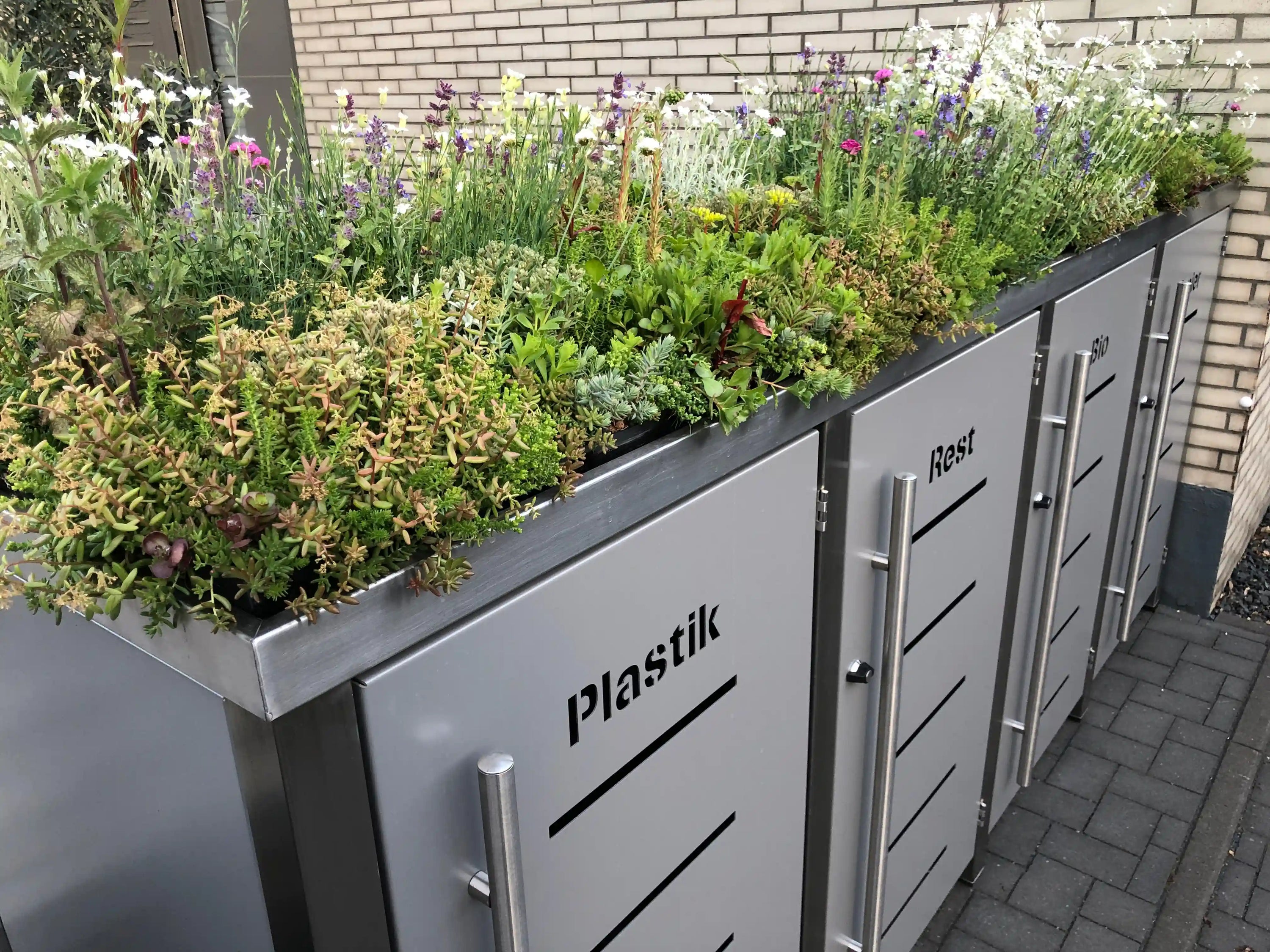 Wurzelwerk Design Plantile Dachbegrünung BioTop+ mit bunten Blühstauden auf begrüntem Dach, umweltfreundliche Dachbegrünung