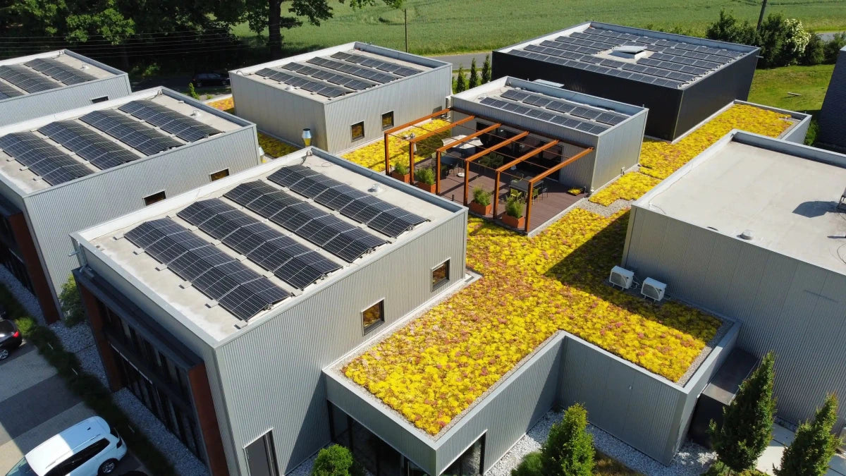 Plantile Dachbegrünung BioTop 16 Sedum - Sorten - Mix - Wurzelwerk Design