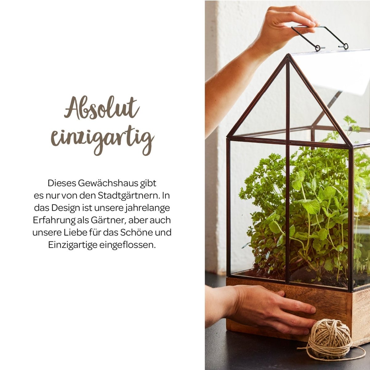 Hochwertiges Anzucht- und Gewächshaus - Wurzelwerk Design