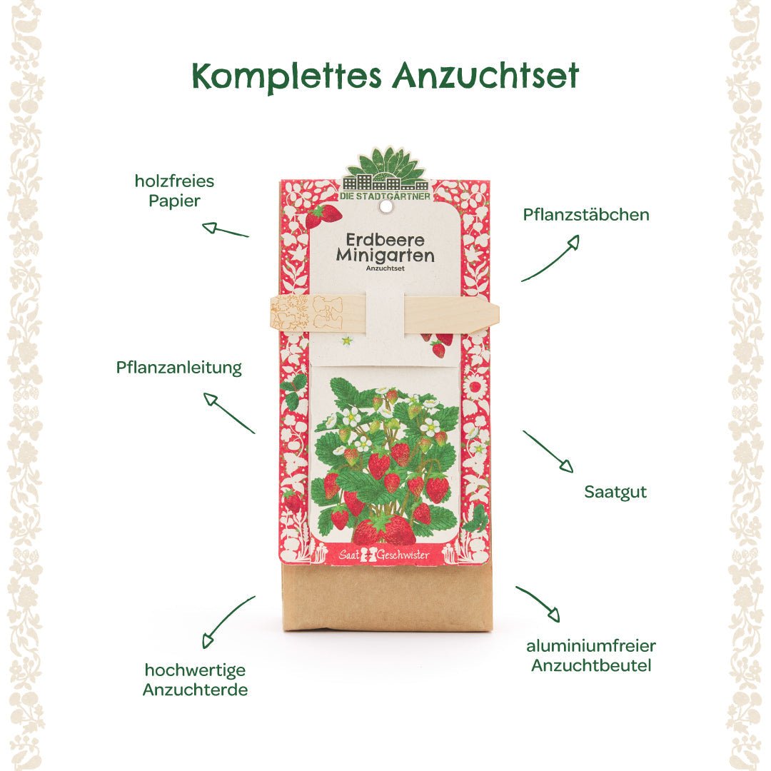 Anzuchtset – Minigarten Erdbeeren - Wurzelwerk Design