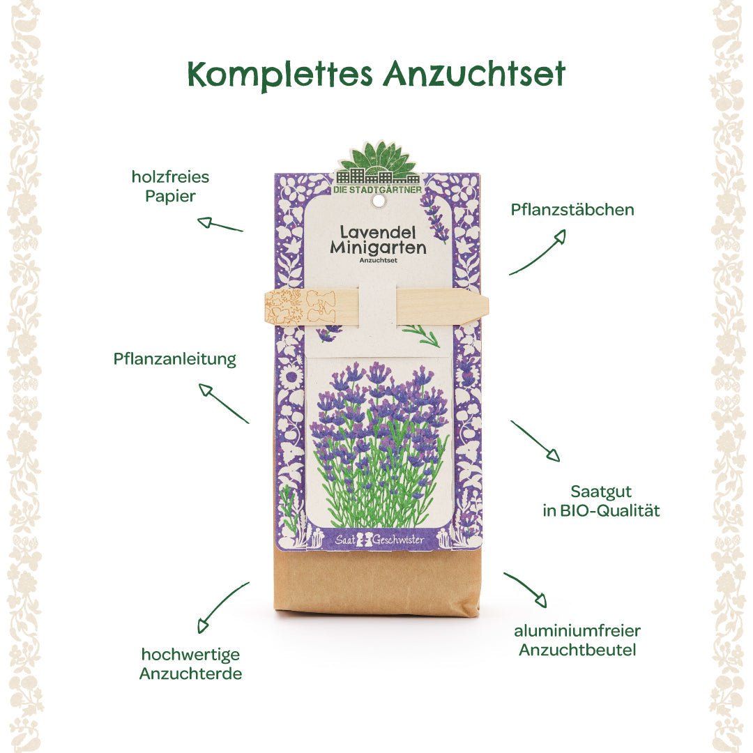 Anzuchtset – Minigarten BIO-Lavendel - Wurzelwerk Design