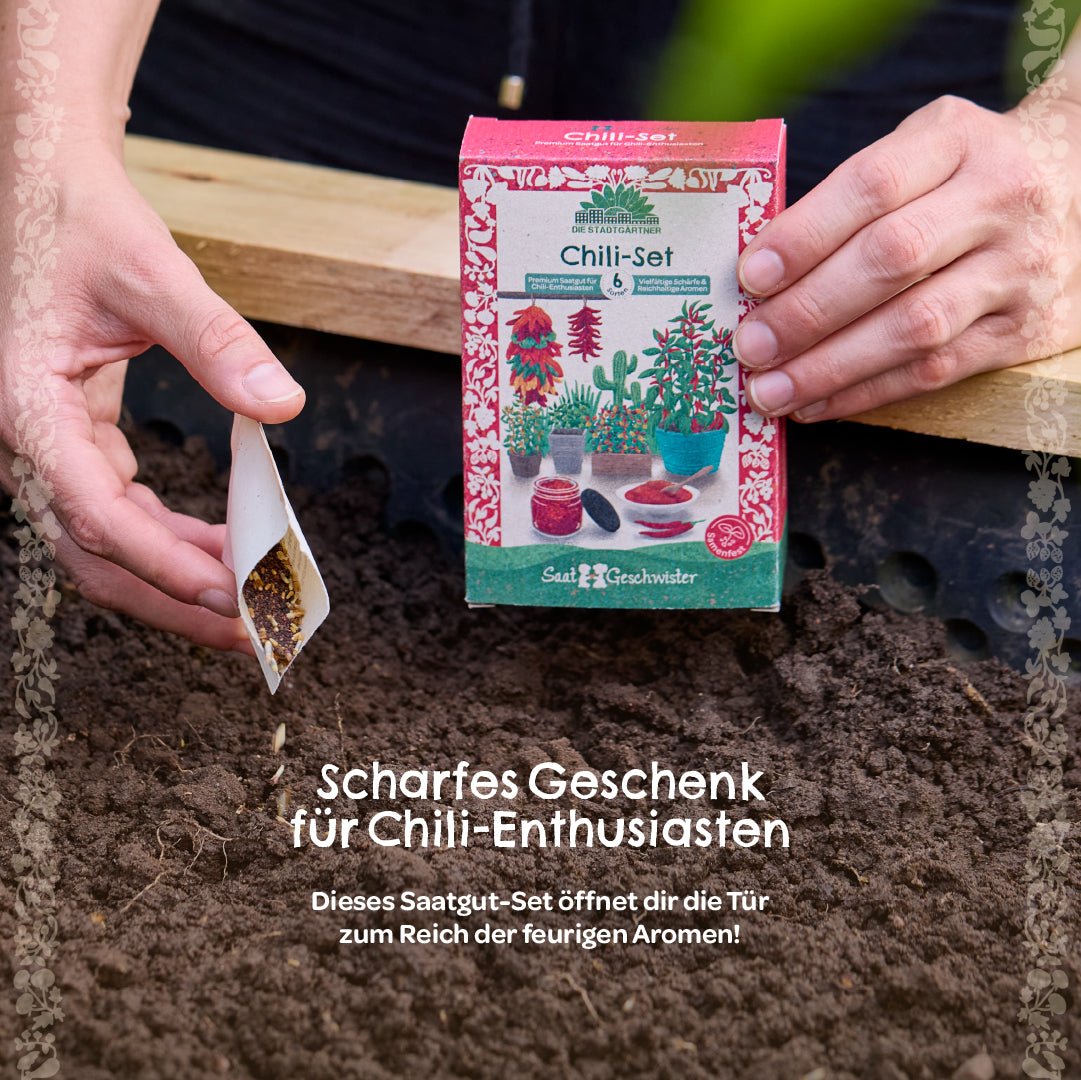 BIO-Saatgut-Set "Chili" - Wurzelwerk Design