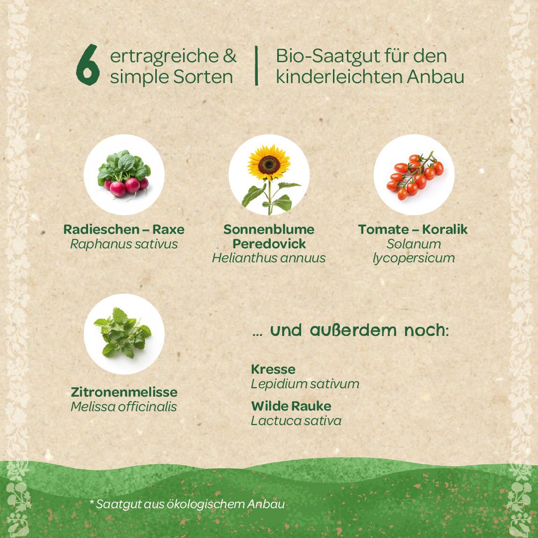 BIO-Saatgut-Set "Kinder-Garten" - Wurzelwerk Design