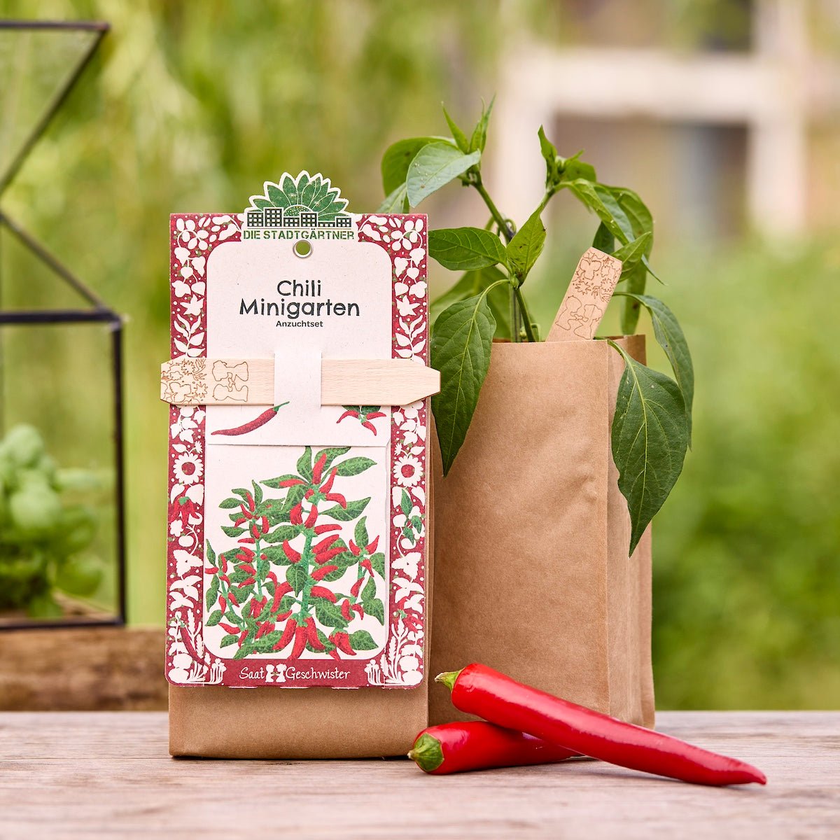 Anzuchtset – Minigarten BIO-Chili - Wurzelwerk Design