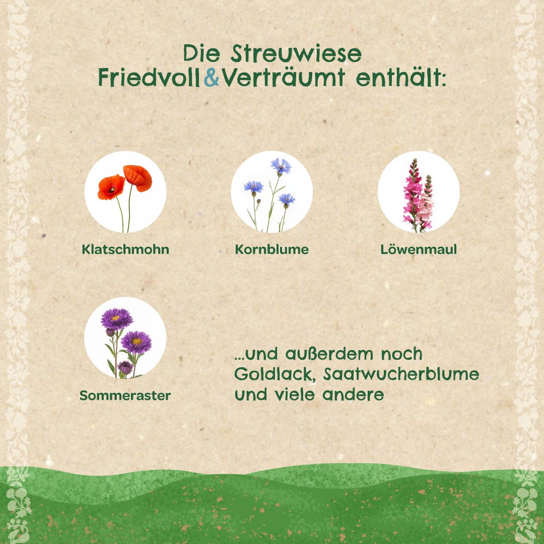 Streuwiese "Friedvoll & Verträumt" - Wurzelwerk Design