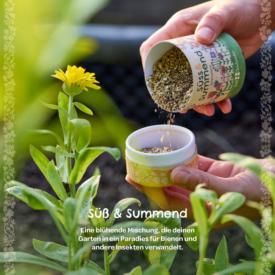 Streuwiese "Süß & Summend" - Wurzelwerk Design