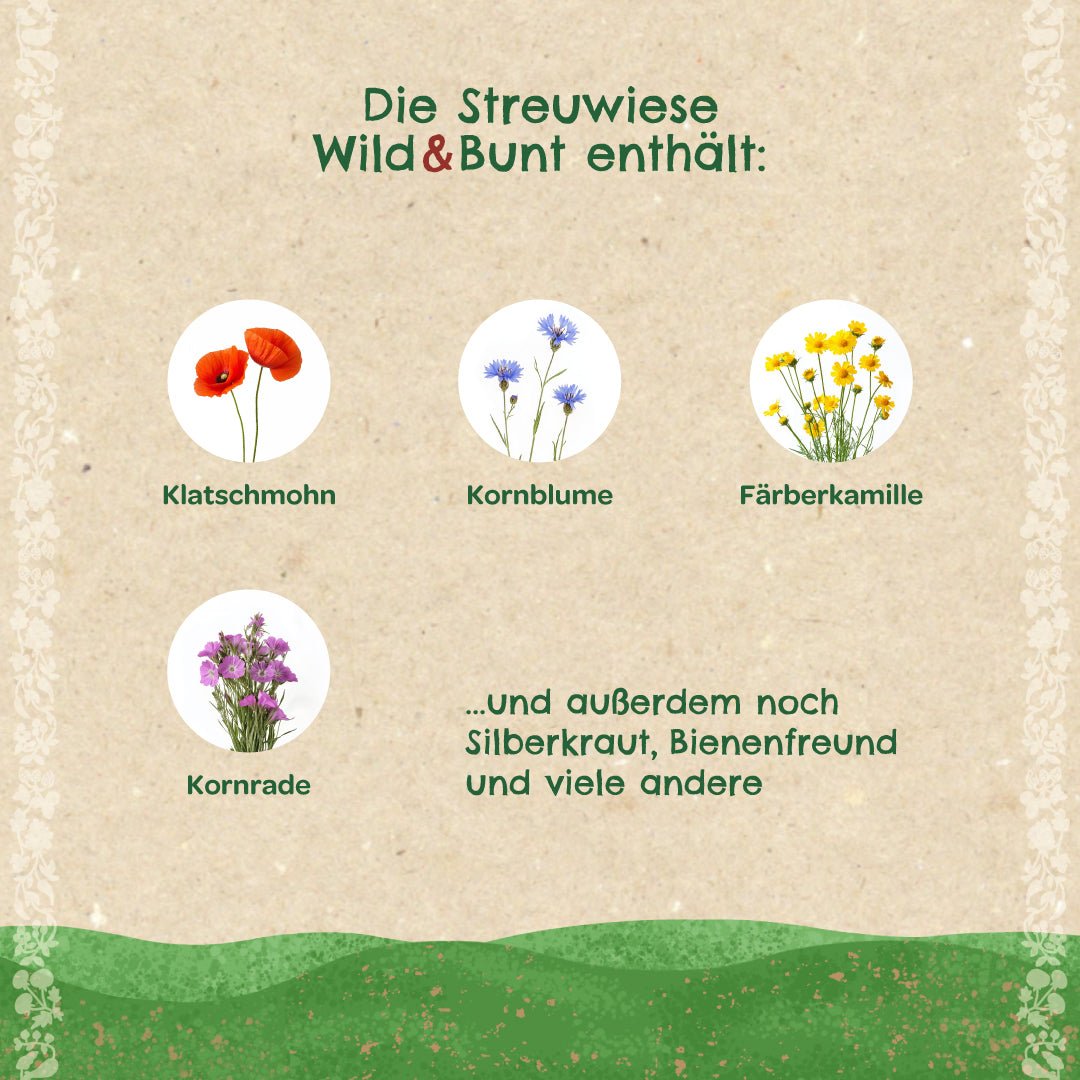 Streuwiese "Wild & Bunt" - Wurzelwerk Design