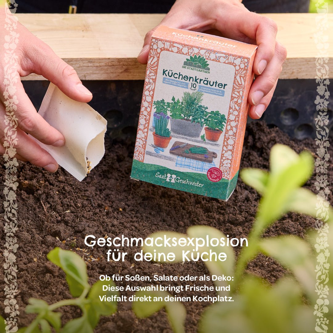 BIO-Saatgut-Set "Küchenkräuter" - Wurzelwerk Design