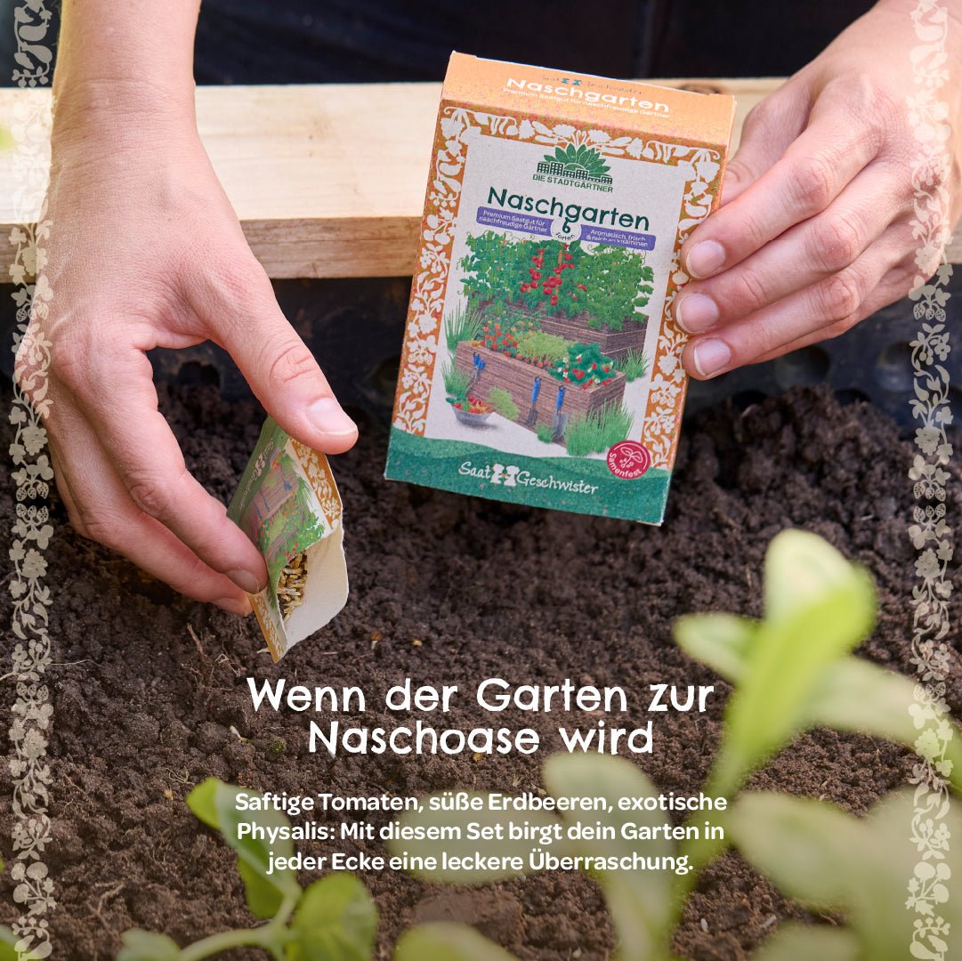 BIO-Saatgut-Set "Naschgarten" - Wurzelwerk Design