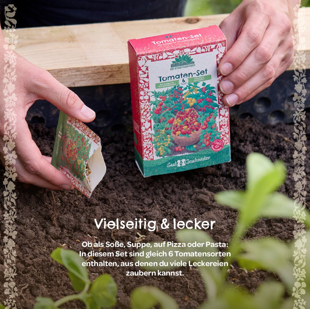 BIO-Saatgut-Set "Tomaten" - Wurzelwerk Design