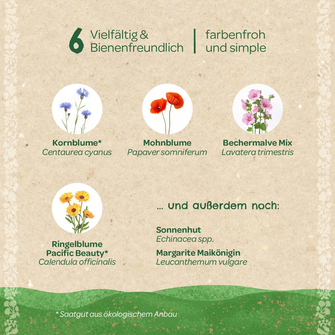 Saatgut-Set "Wildblumen" - Wurzelwerk Design