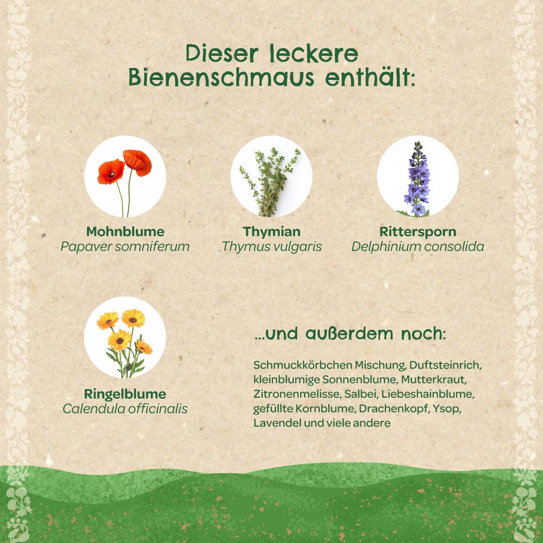 Saatkugeln "Bienenschmaus" - Wurzelwerk Design
