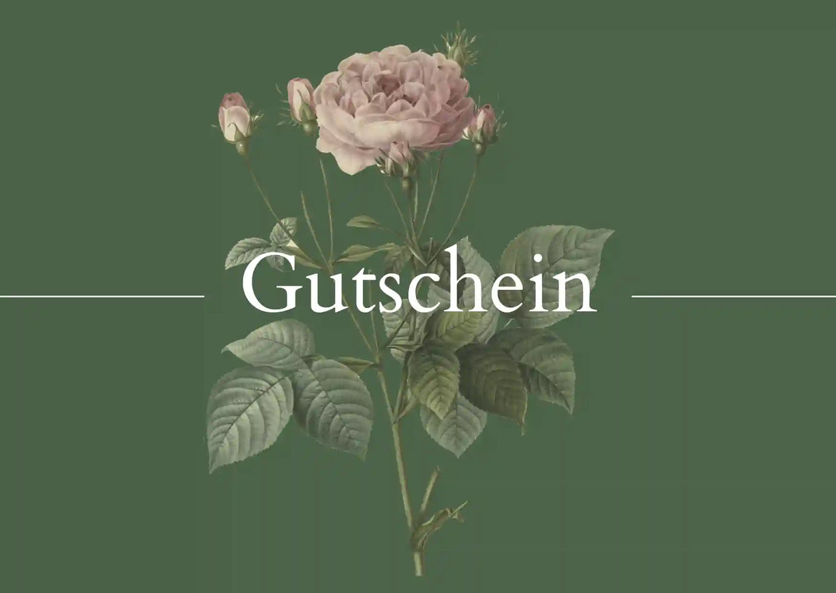 Geschenkgutschein für Pflanzen kaufen – das perfekte Geschenk | Wurzelwerk Design