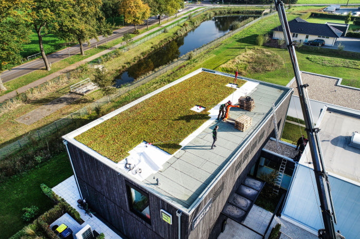 Plantile Dachbegrünung