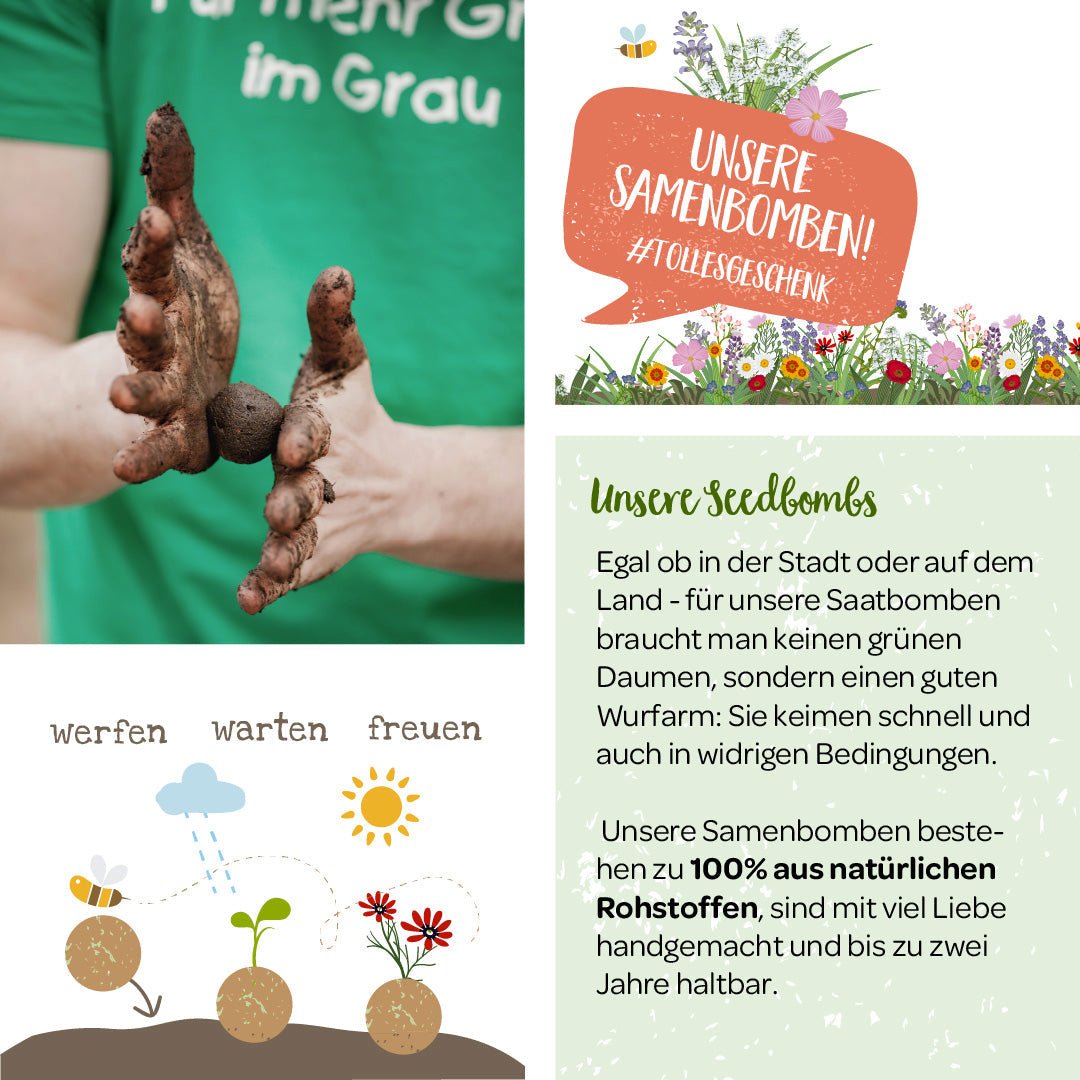 Lose Wildblumen-Samenbomben, unverpackt - Wurzelwerk Design
