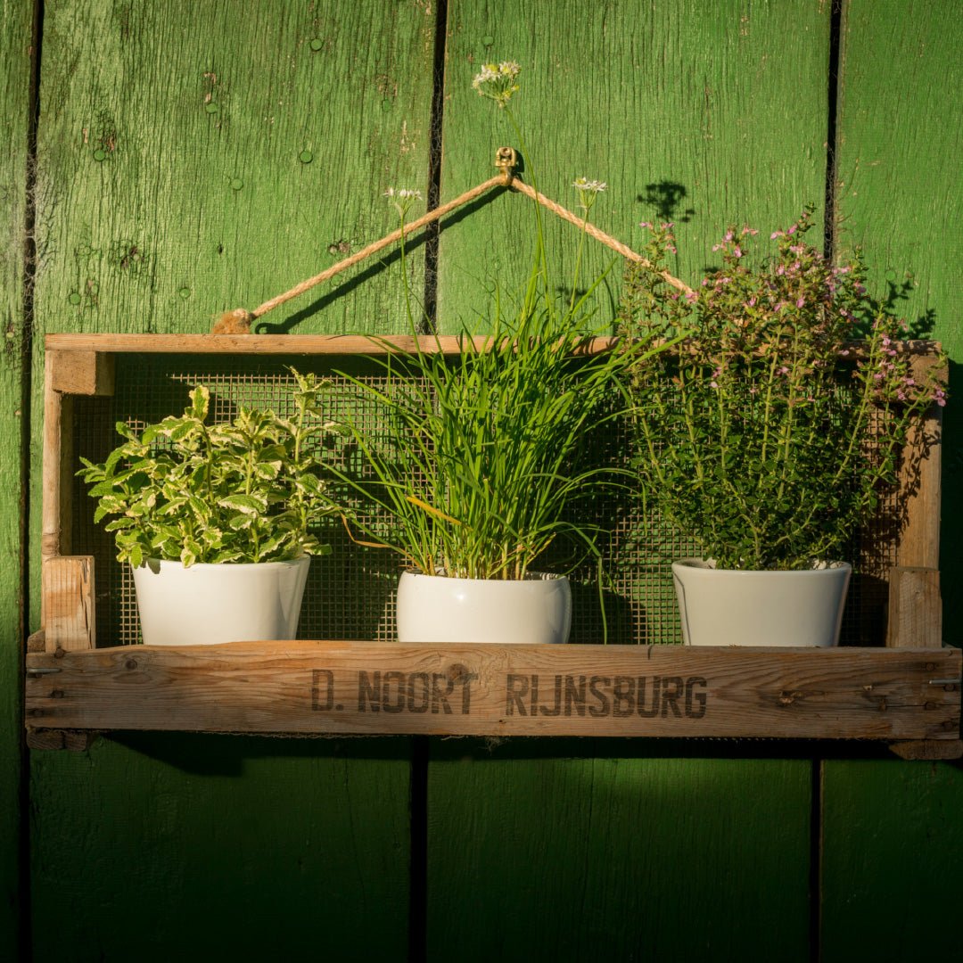 Breites Gartenregal aus Zwiebelsieb - Wurzelwerk Design
