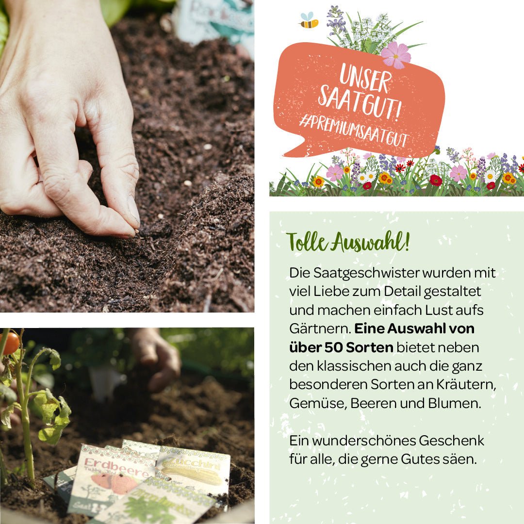100 g Wildblumen-Saatgut - Wurzelwerk Design