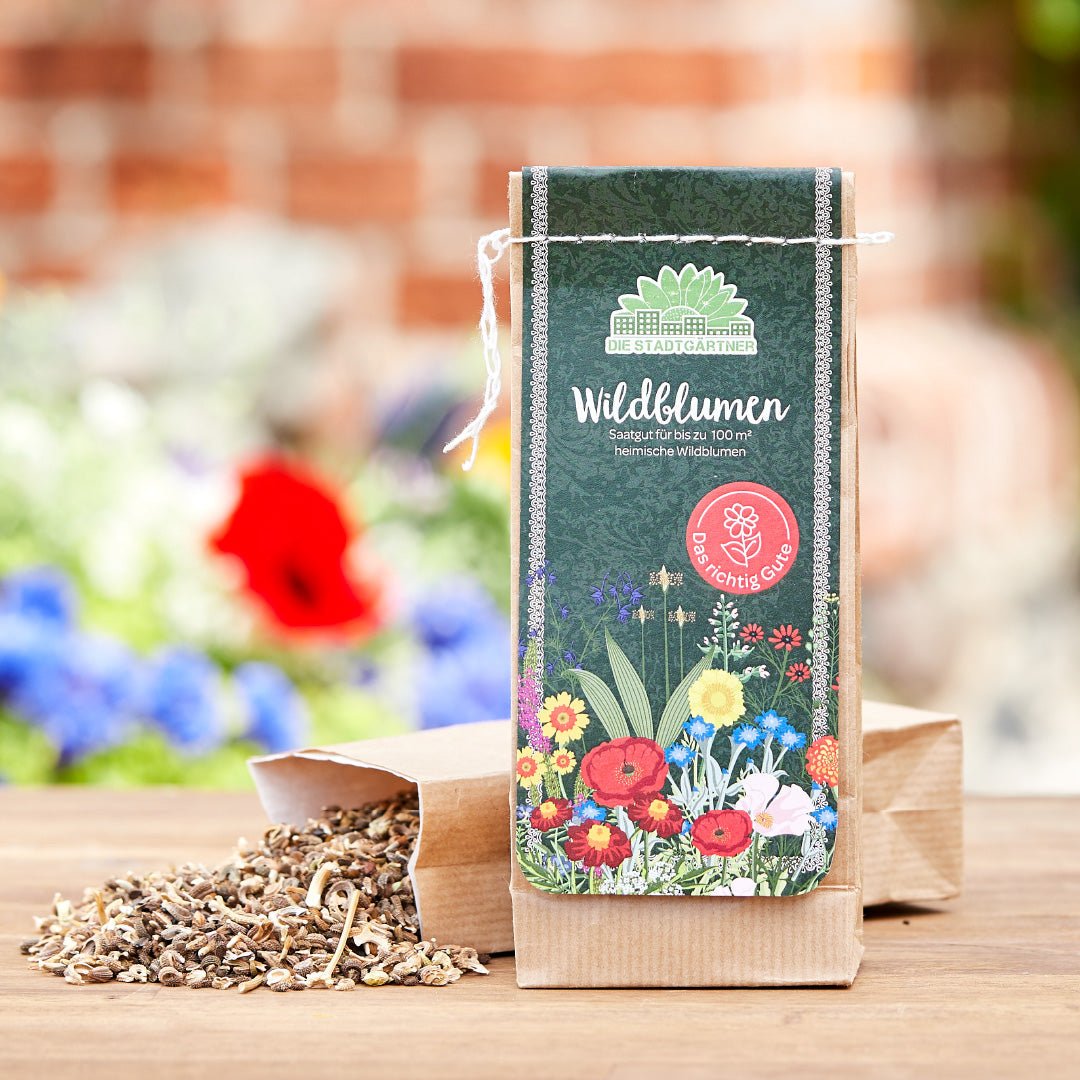 100 g Wildblumen-Saatgut - Wurzelwerk Design