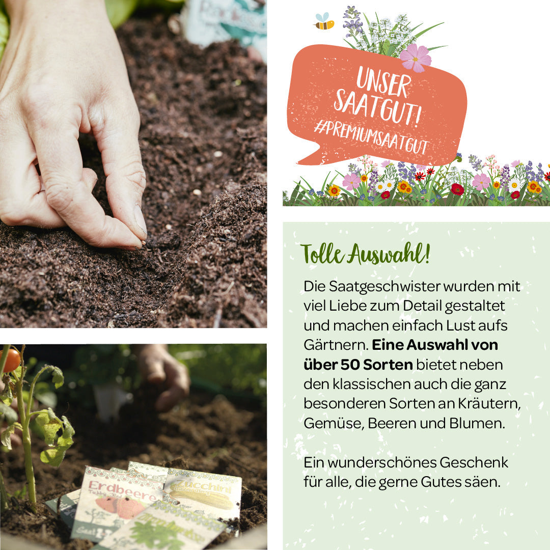 100 g BIO Wildblumen-Saatgut