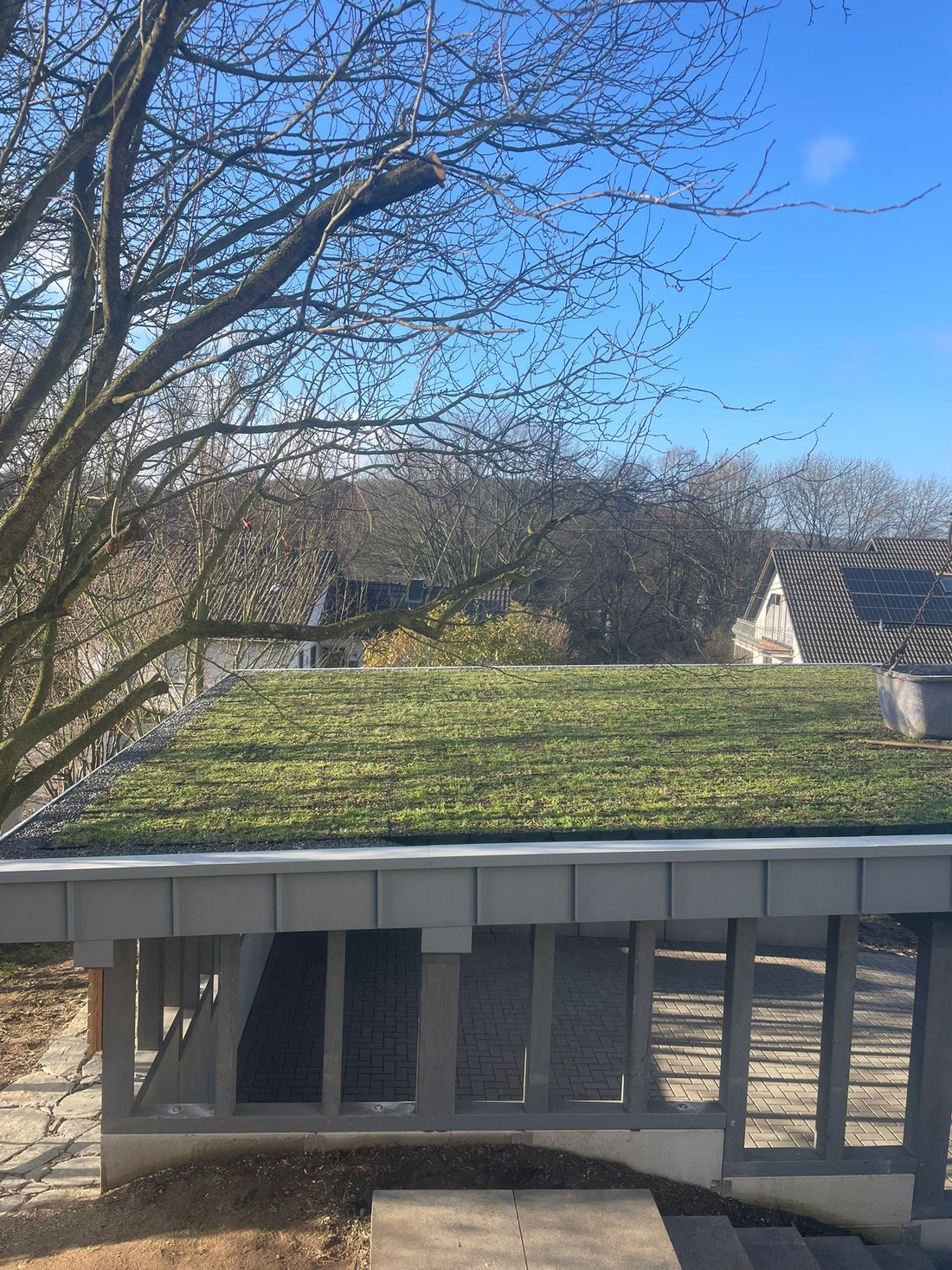 Begrüntes Carport-Dach mit Sedum im Winter