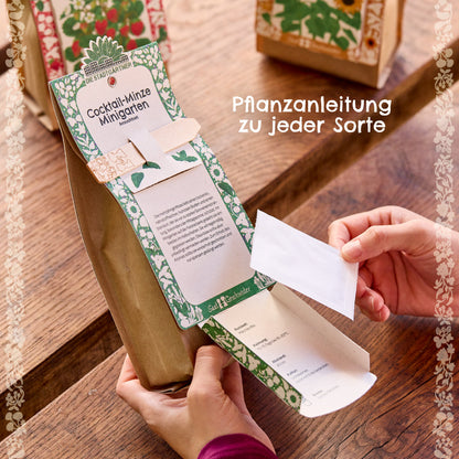 Anzuchtset – Minigarten BIO-Physalis