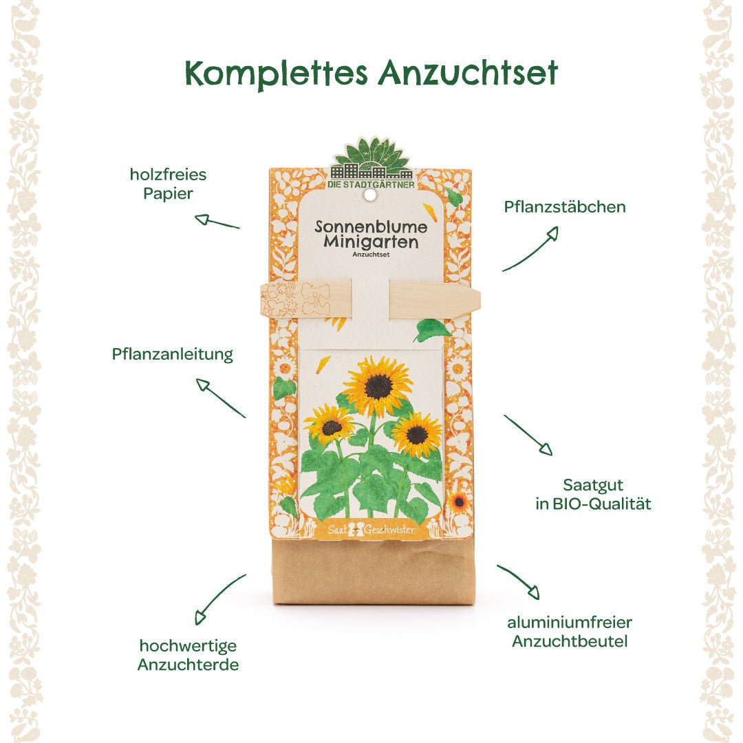 Anzuchtset – Minigarten BIO-Sonnenblume - Wurzelwerk Design