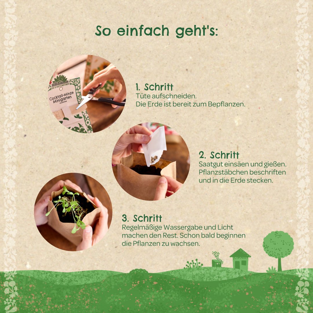 Anzuchtset – Minigarten Erdnuss - Wurzelwerk Design
