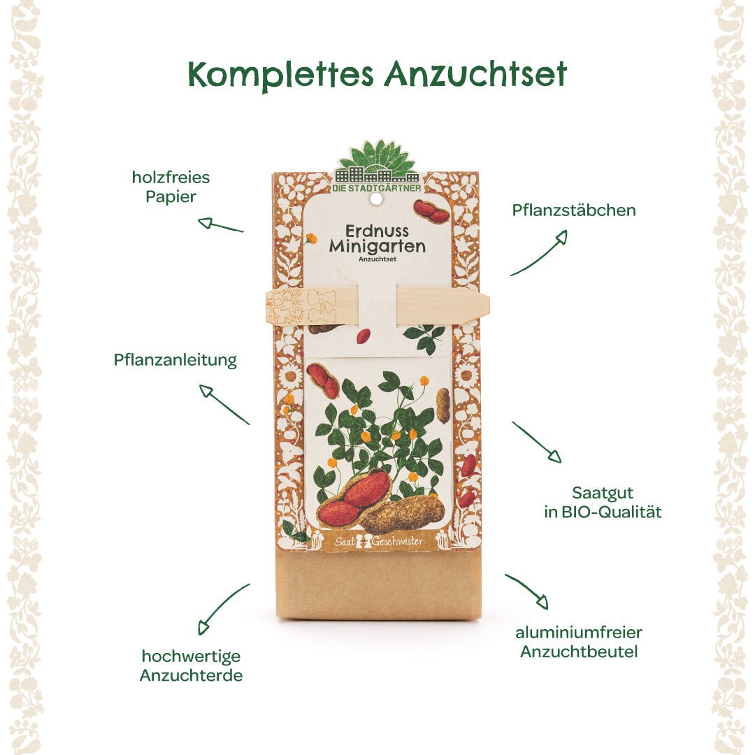 Anzuchtset – Minigarten Erdnuss - Wurzelwerk Design
