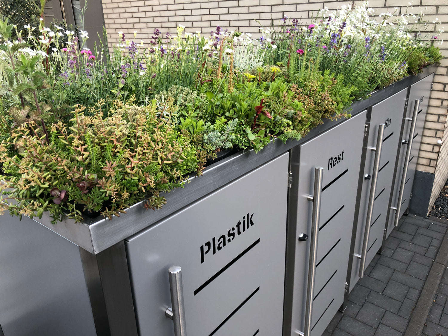 Plantile Dachbegrünung BioTop+ mit 10 weiteren Blühstauden