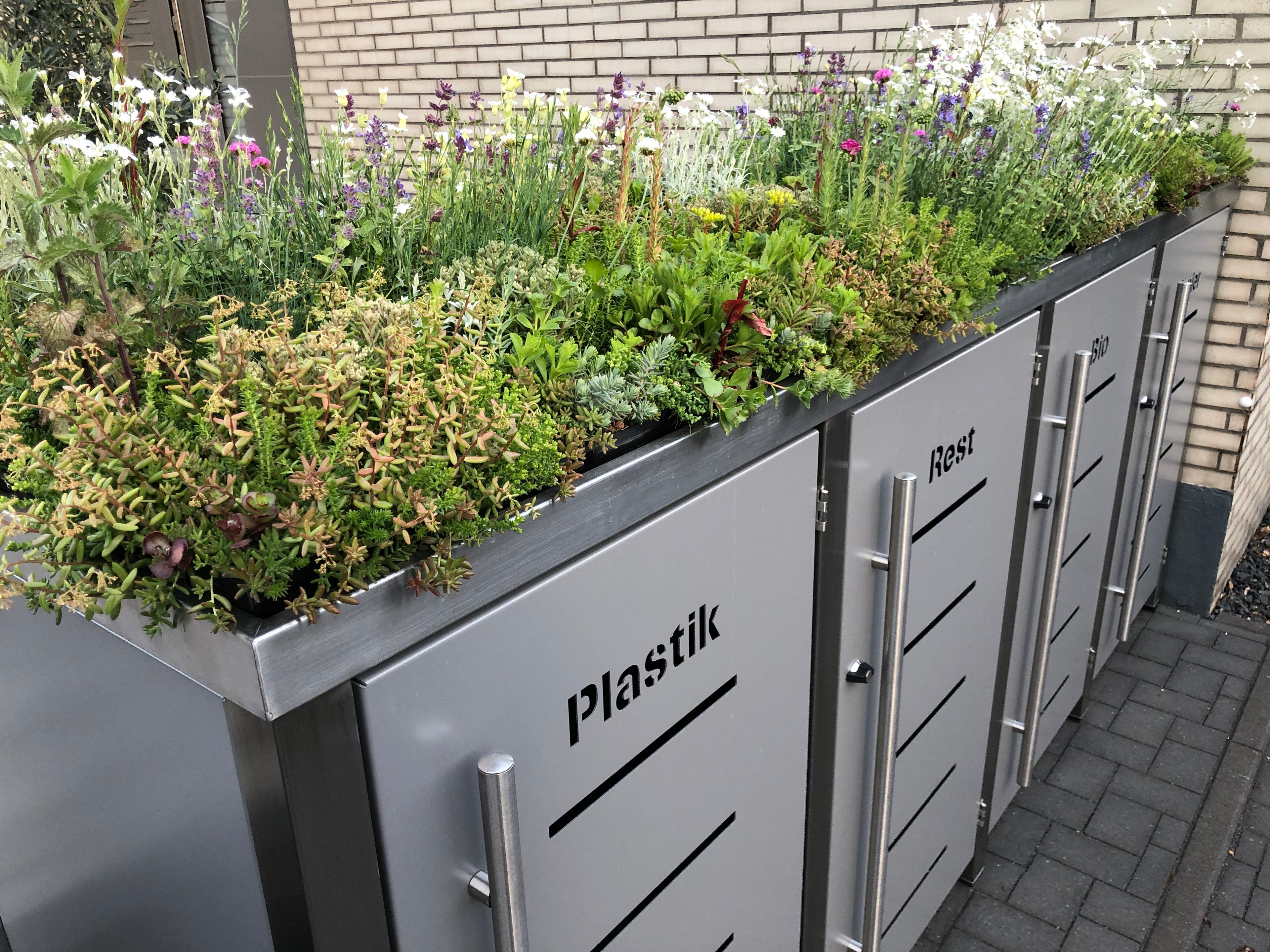 Plantile Dachbegrünung BioTop+ mit 10 weiteren Blühstauden