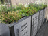 Wurzelwerk Design Plantile Dachbegrünung BioTop+ mit 10 Blühstauden auf begrüntem Dach, grüne Pflanzen und bunte Blüten sichtbar