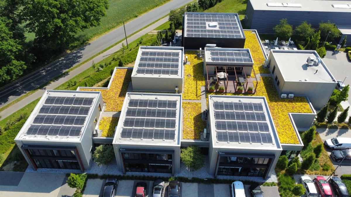 Plantile Dachbegrünung BioTop 16 Sedum - Sorten - Mix - Wurzelwerk Design