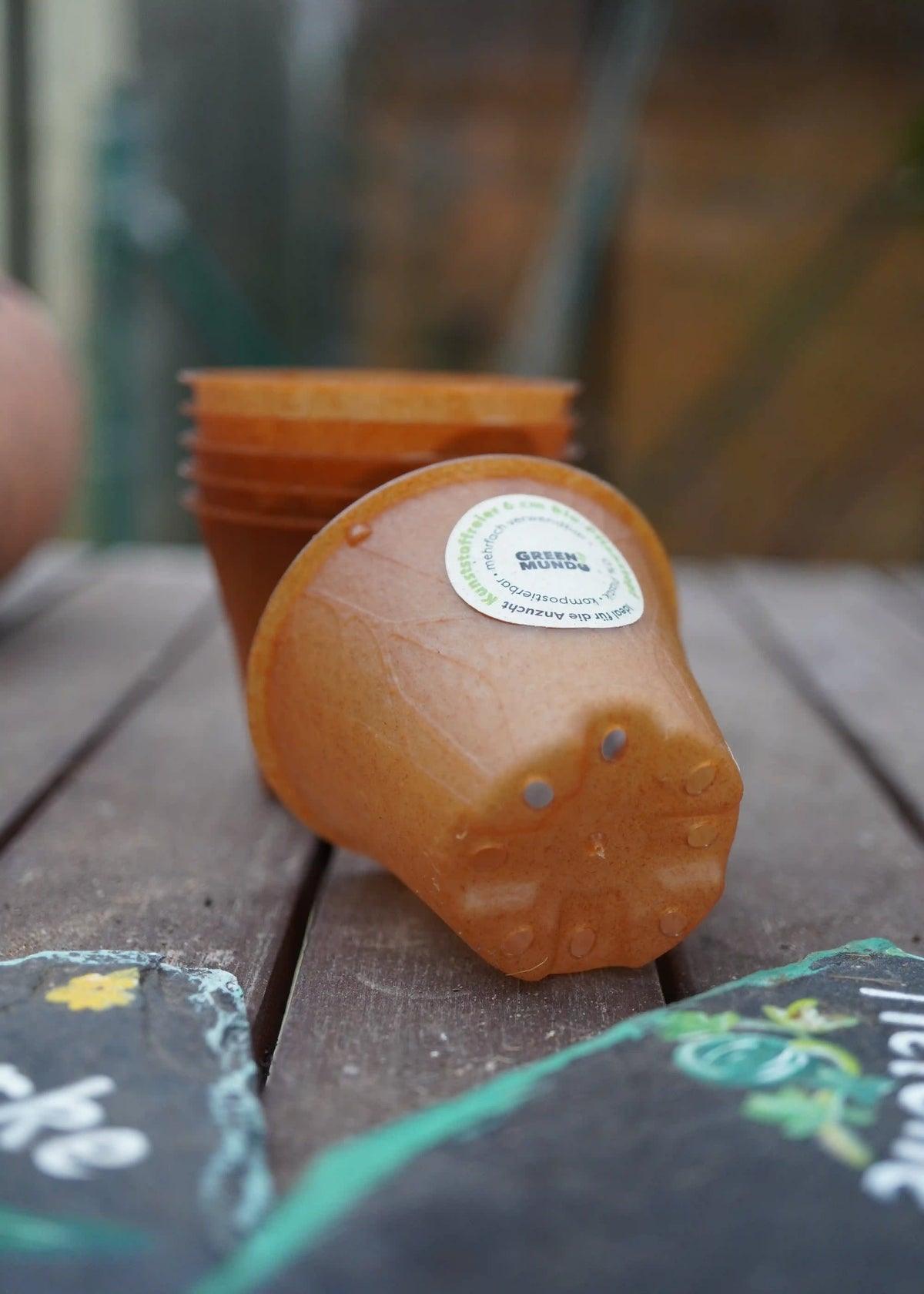 Bio-Pflanztopf aus nachhaltigem Material, 6cm, plastikfrei, geeignet als Zubehör für Pflanzen, von Semenlina