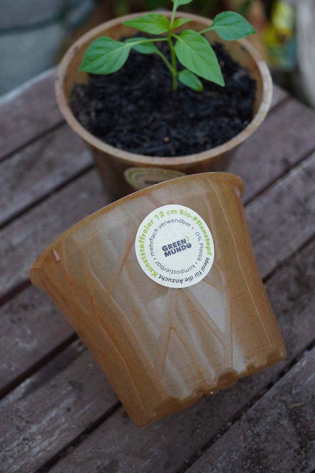 Bio-Pflanztopf aus Plastikfrei, 6cm Durchmesser, Zubehör von Semenlina, ideal für nachhaltige Garten- und Pflanzenpflege.