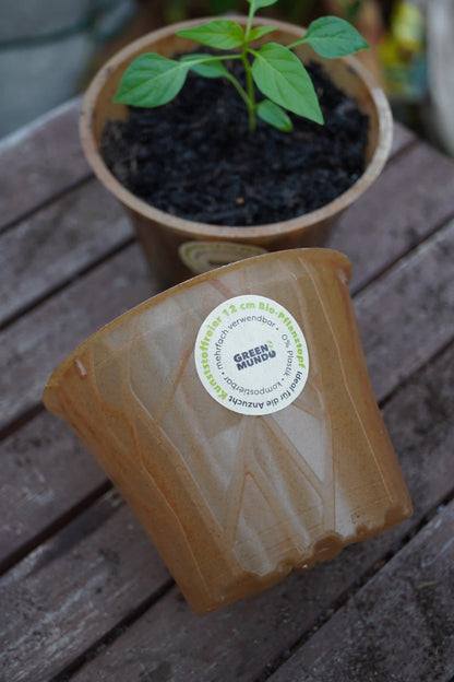 Bio-Pflanztopf aus Plastikfrei, 6cm Durchmesser, Zubehör von Semenlina, ideal für nachhaltige Garten- und Pflanzenpflege.