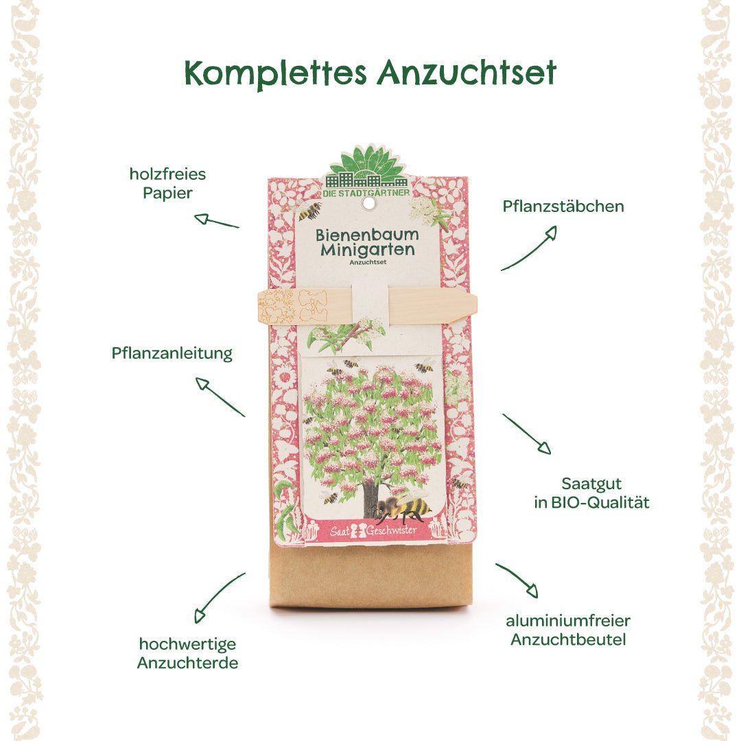 Anzuchtset Minigarten Bienenbaum - Wurzelwerk Design