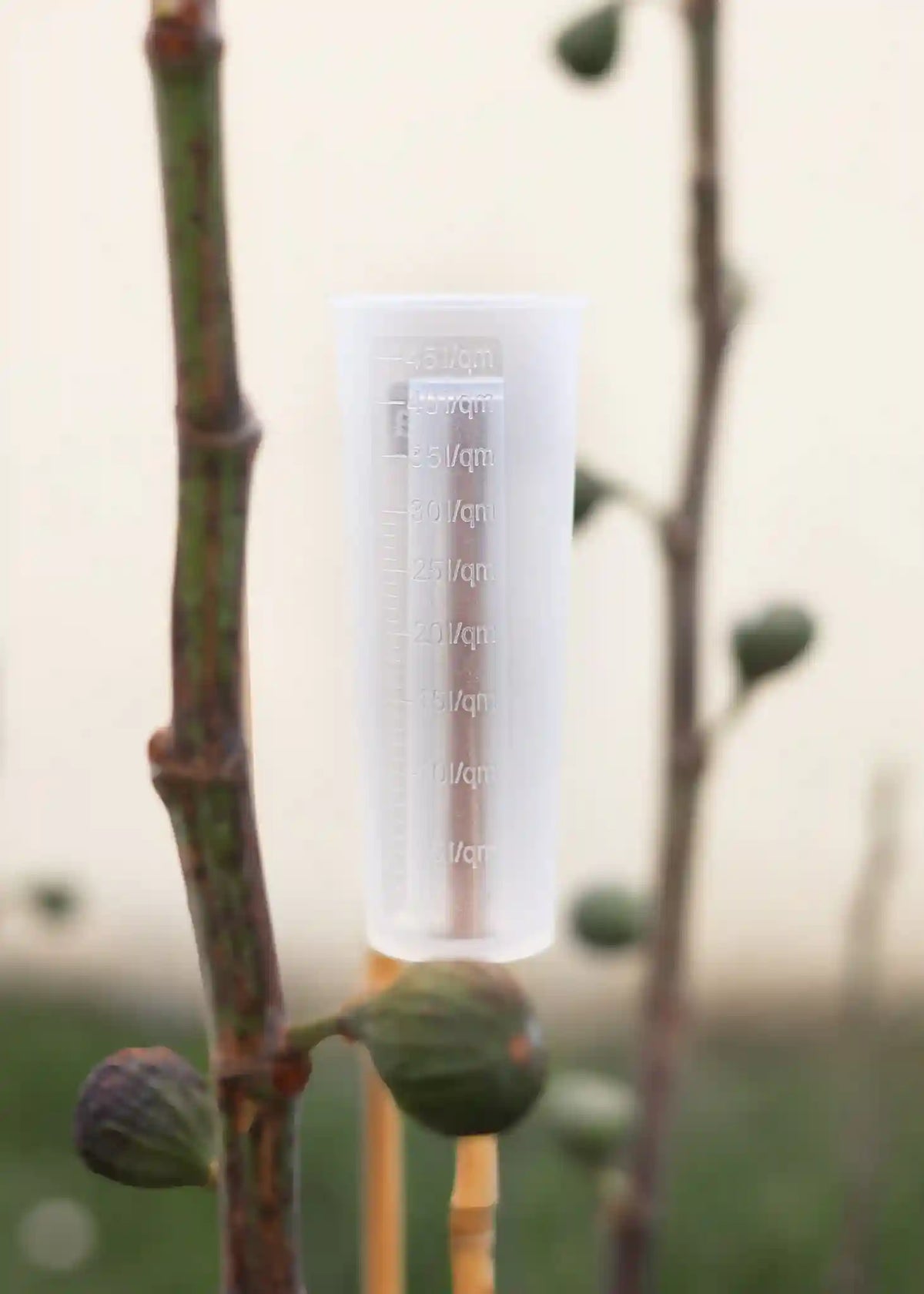 Semenlina Regenmesser aus Silikon in Form einer Feige, wetterfestes Zubehör für Garten und Bewässerung