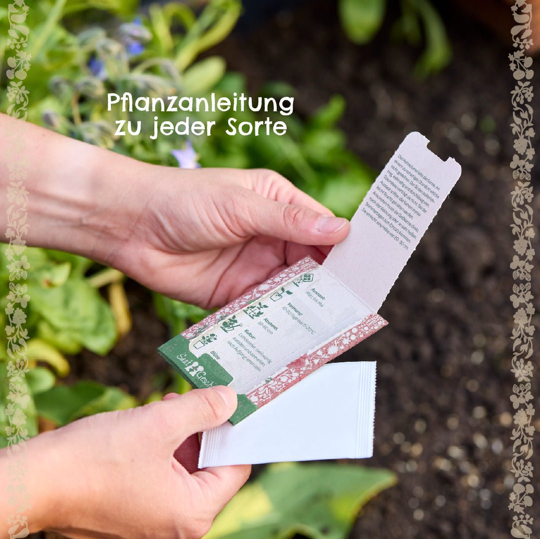 BIO-Saatgut Physalis - Wurzelwerk Design