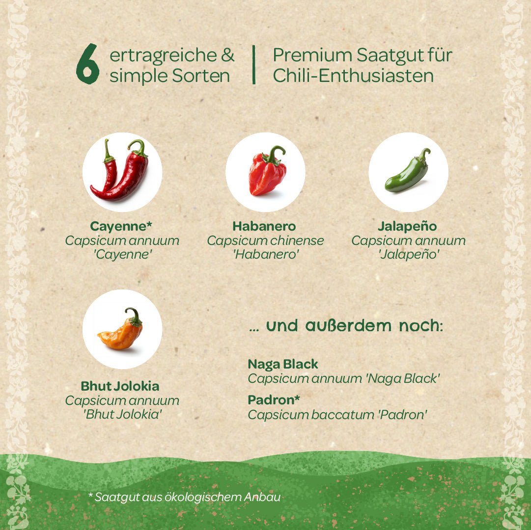 BIO-Saatgut-Set "Chili" - Wurzelwerk Design