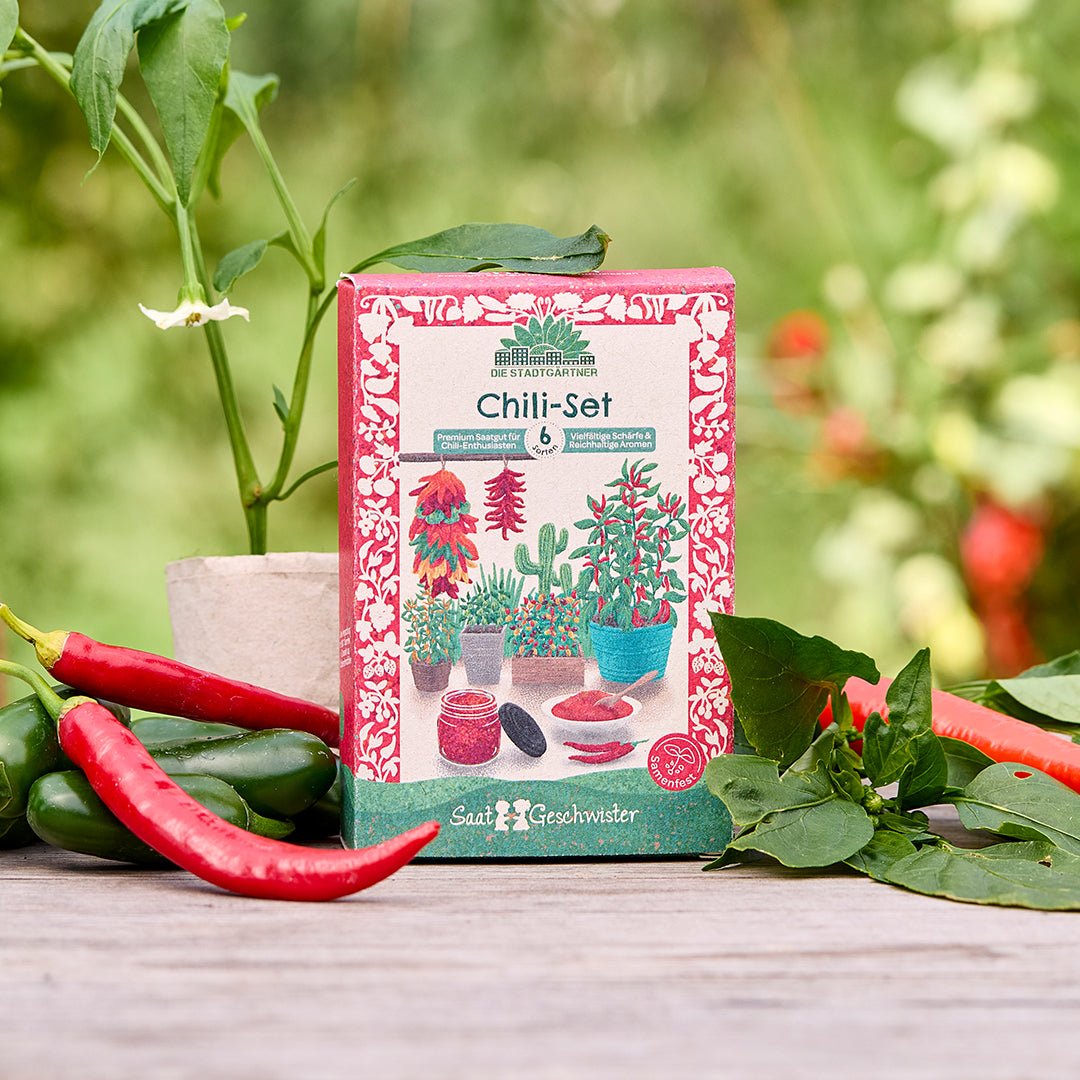 BIO-Saatgut-Set "Chili" - Wurzelwerk Design