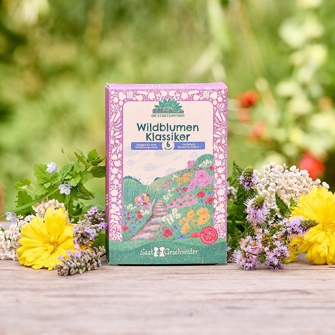 Saatgut-Set "Wildblumen" - Wurzelwerk Design