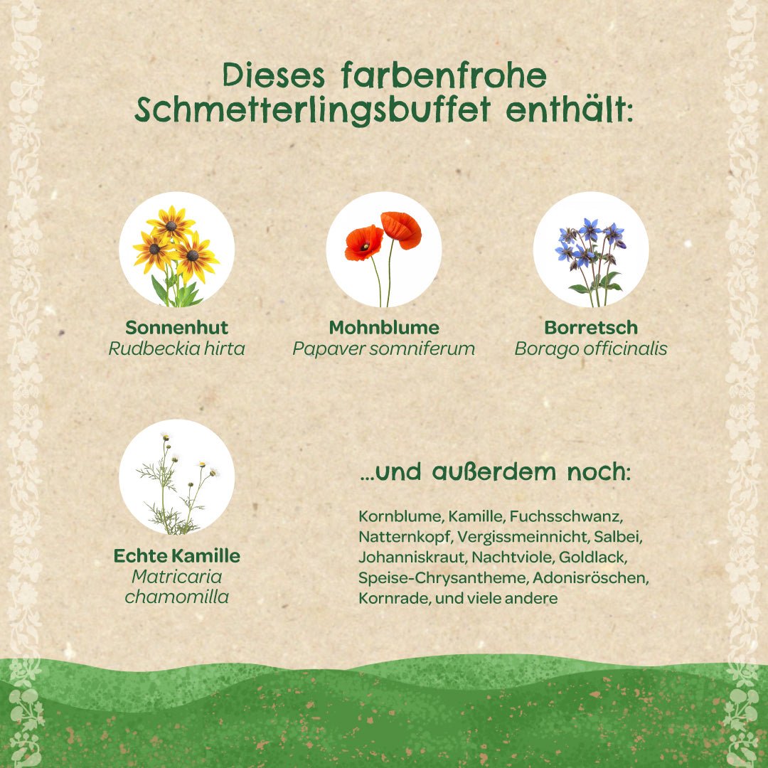 Saatkugeln "Schmetterlingswiese" - Wurzelwerk Design