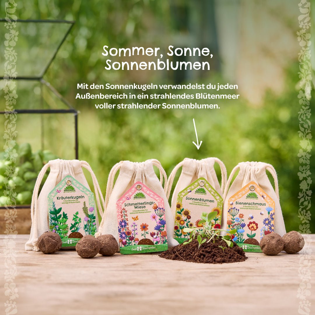 Saatkugeln "Sonnenblumen" - Wurzelwerk Design