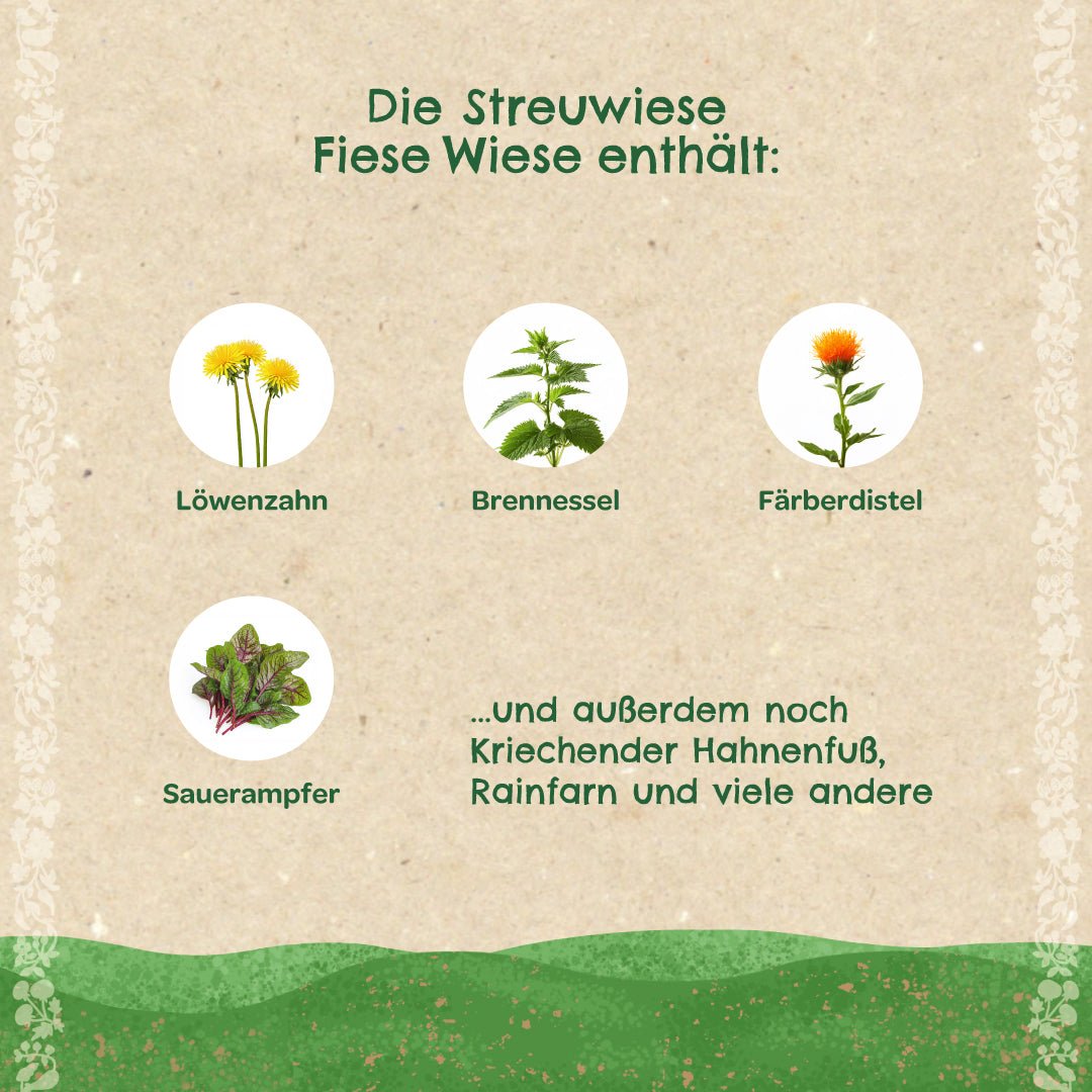 Streuwiese "Fiese Wiese" - Wurzelwerk Design