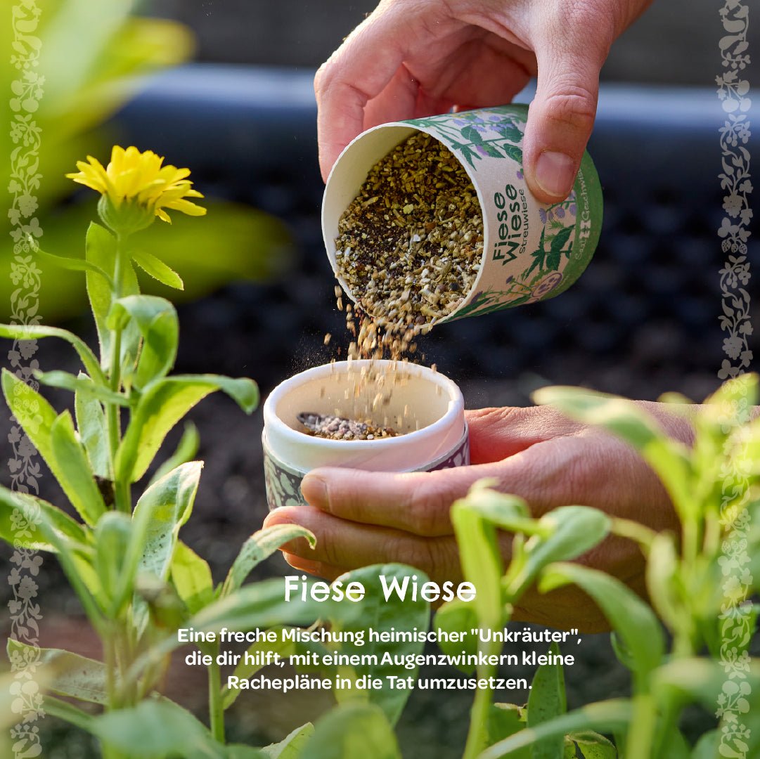 Streuwiese "Fiese Wiese" - Wurzelwerk Design