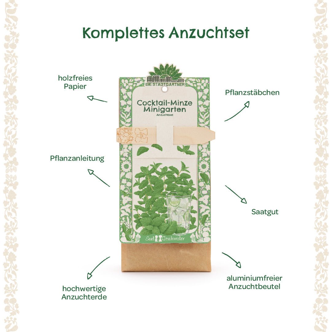 Anzuchtset – Minigarten Cocktail Minze - Wurzelwerk Design